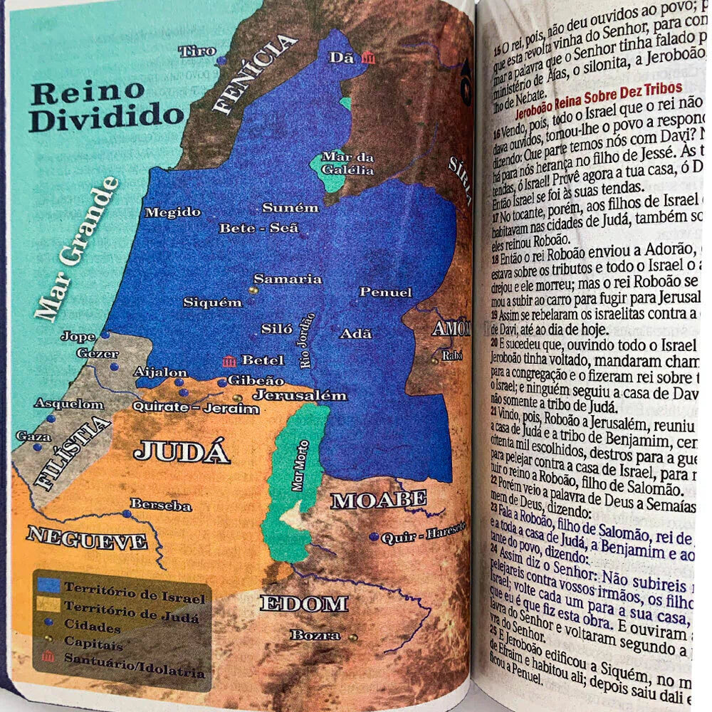 BIBLIA LEAO COM OLHOS EM CHAMAS