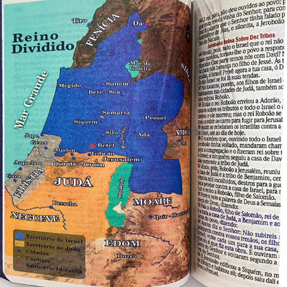 BIBLIA LEAO COM OLHOS EM CHAMAS