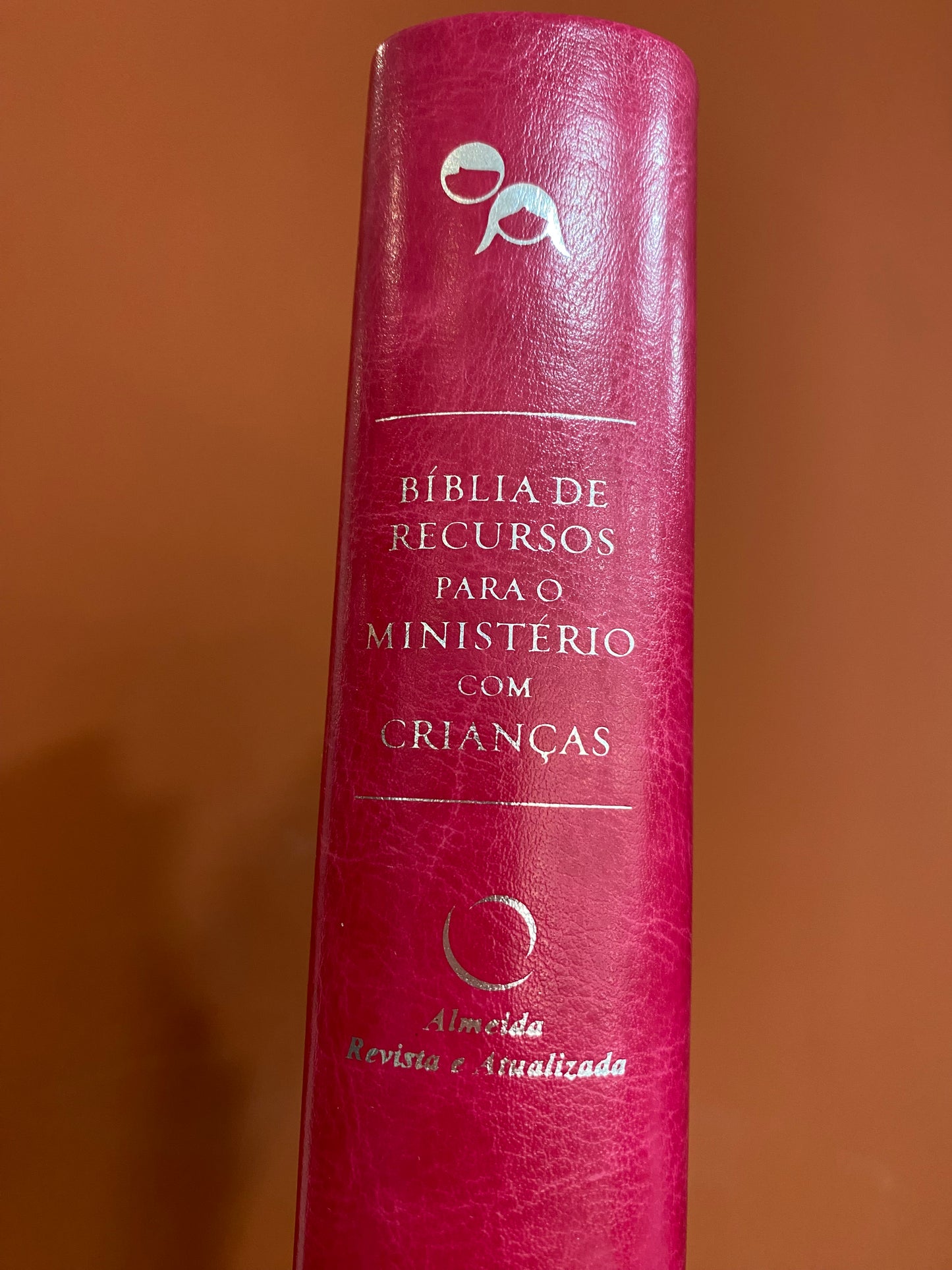 BÍBLIA DE RECURSO PARA MINISTÉRIO COM CRIANÇAS - CAPA LUXO - ROSA
