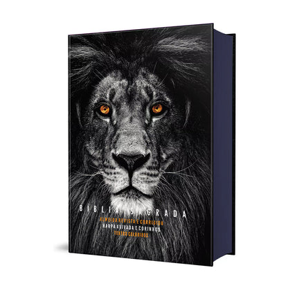 BIBLIA LEAO COM OLHOS EM CHAMAS