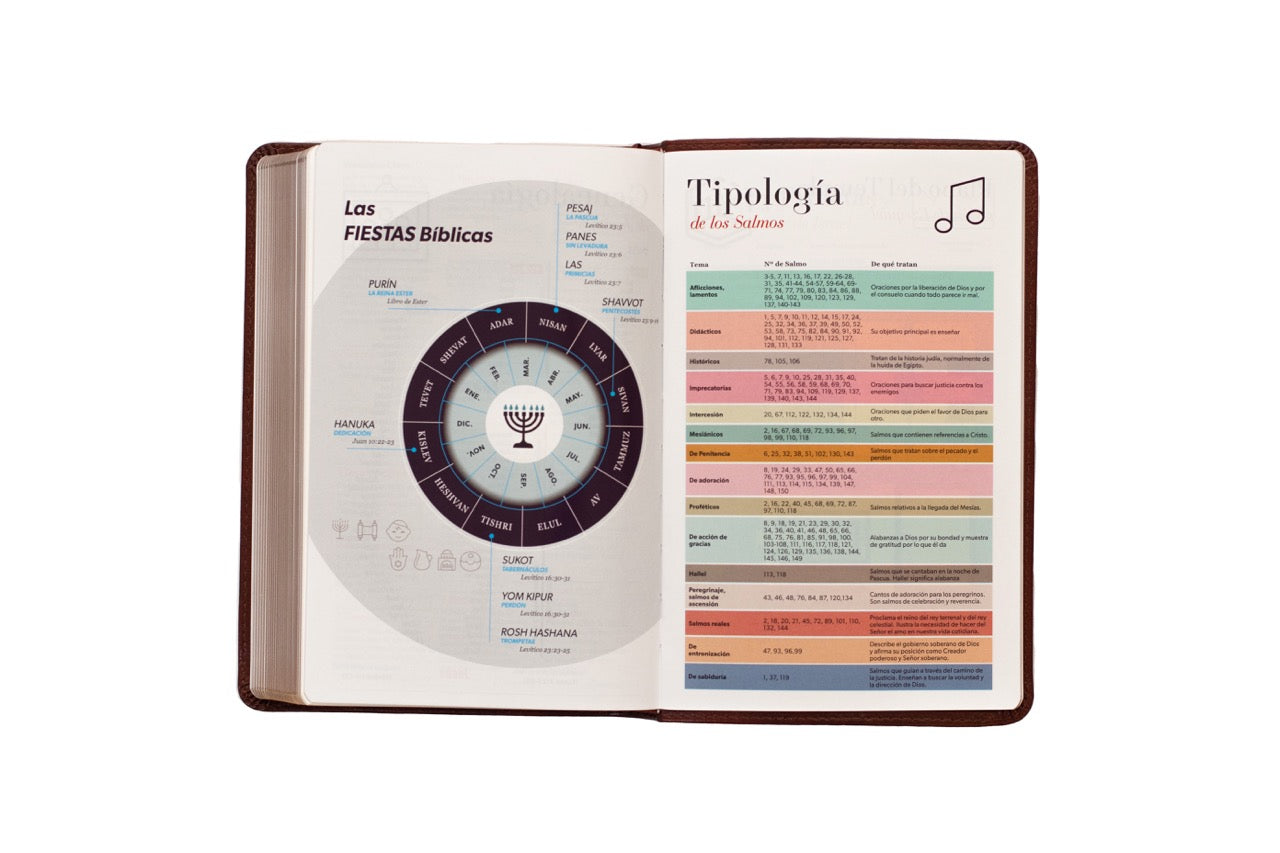 BÍBLIA RVR 1960 CLASSIC CAFÉ: ELEGÂNCIA, TRADIÇÃO E CONFORTO VISUAL