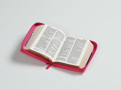 BÍBLIA RVR60 DE BOLSO PRIMOR ROSA/CORAL CORUJA COM FECHO