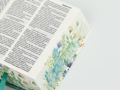 BÍBLIA RVR60 DE BOLSO, CAPA DE COURO, EDIÇÃO RENOVAÇÃO VERDE