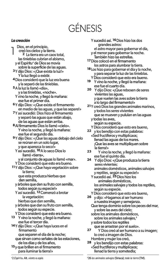 NVI Peninsular LG Pocket Bible in the Spring Missionary Edition