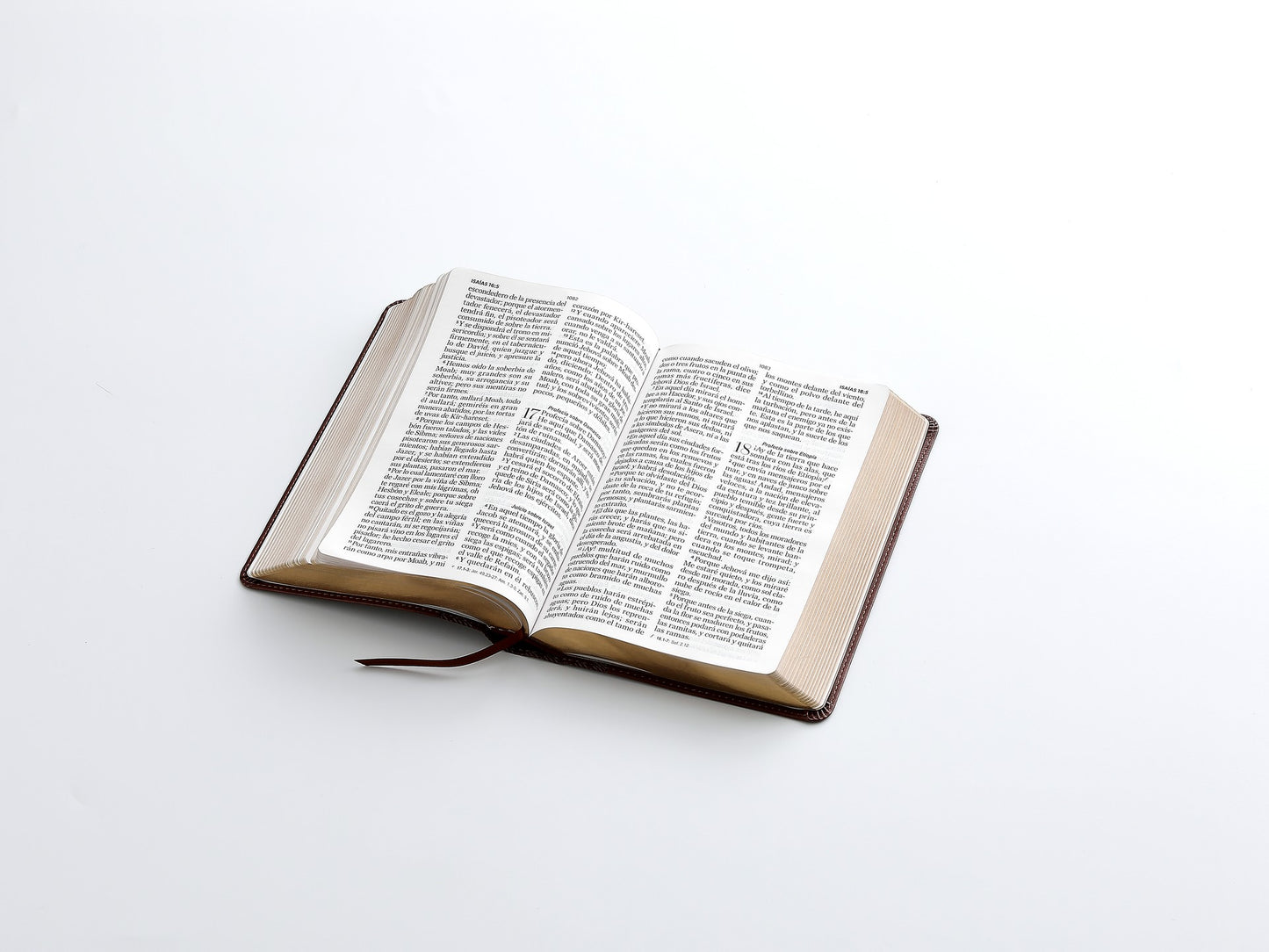 BÍBLIA RVR 1960 MANUAL: ELEGÂNCIA CLÁSSICA E LEITURA SUPERIOR