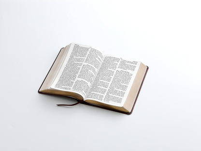 BÍBLIA RVR 1960 MANUAL: ELEGÂNCIA CLÁSSICA E LEITURA SUPERIOR