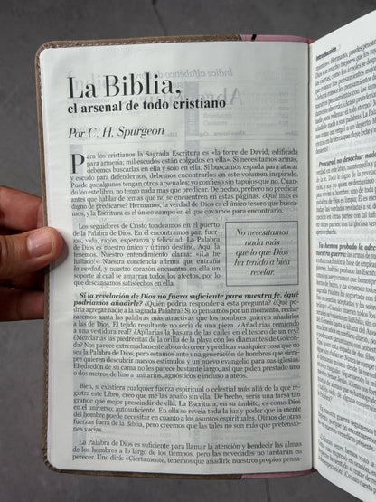 BÍBLIA RVR60 TAMANHO DE MÃO LETRA GRANDE, COM FECHO JAPONÊS ROSA/MARROM