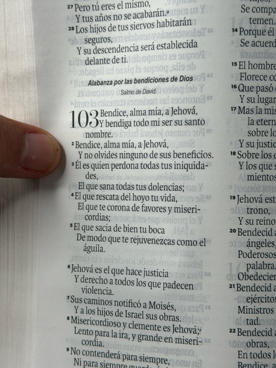 BÍBLIA RVR60 TAMANHO DE MÃO LETRA GRANDE, COM FECHO JAPONÊS ROSA/MARROM