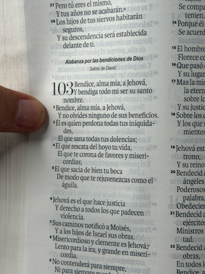 BÍBLIA RVR60 TAMANHO DE MÃO LETRA GRANDE, COM FECHO JAPONÊS ROSA/MARROM