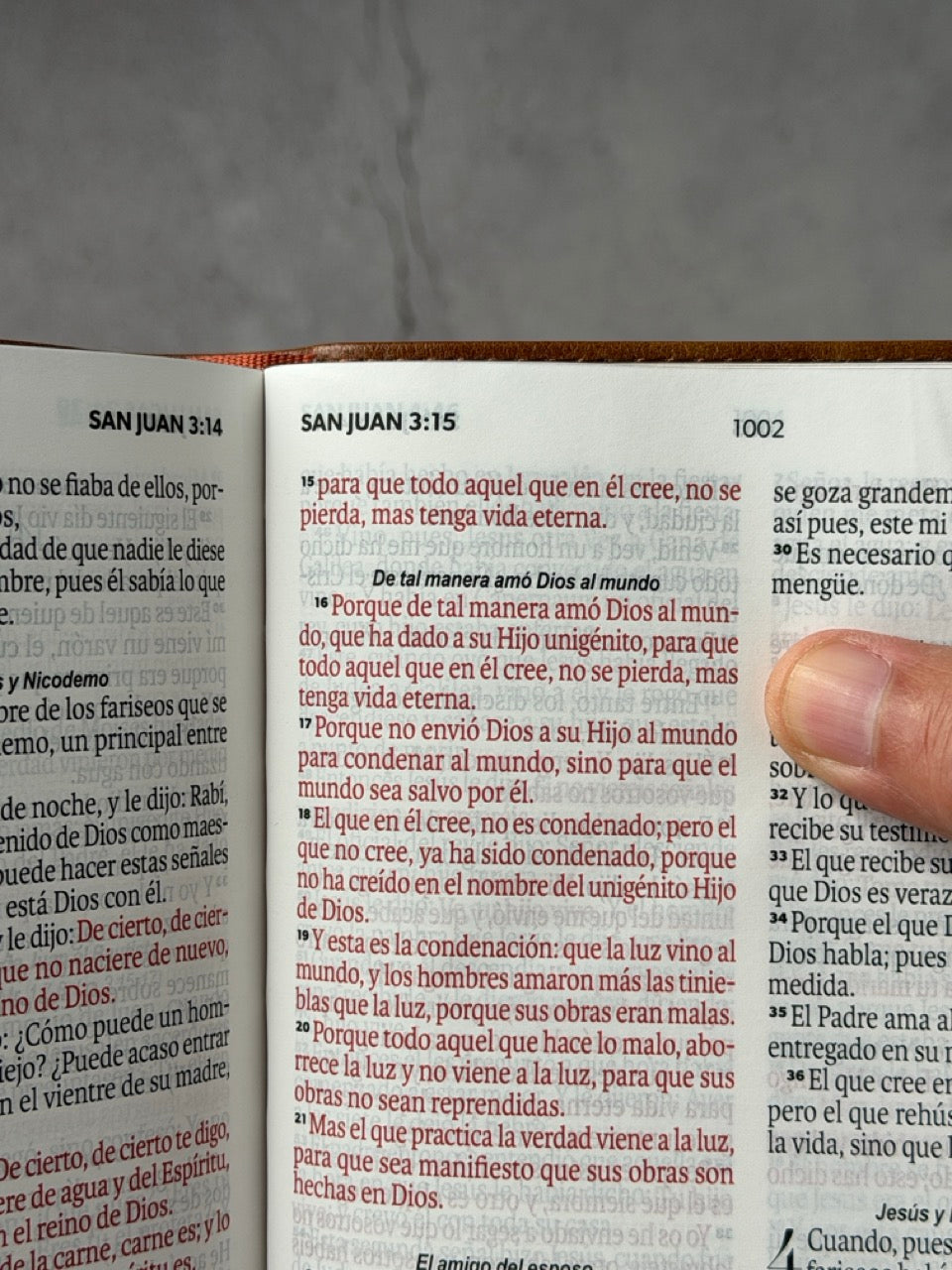 BÍBLIA RVR60 TAMANHO MANUAL LETRA GRANDE COM FECHO JAPONÊS MARROM