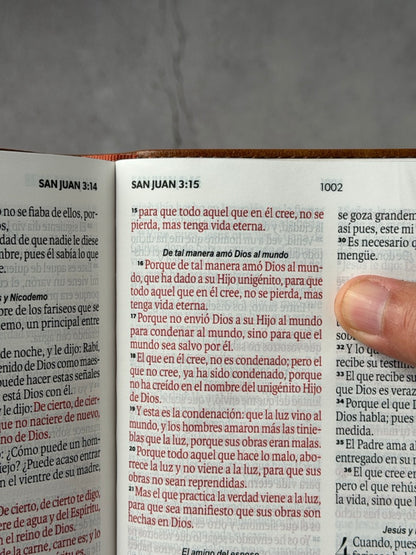 BÍBLIA RVR60 TAMANHO MANUAL LETRA GRANDE COM FECHO JAPONÊS MARROM