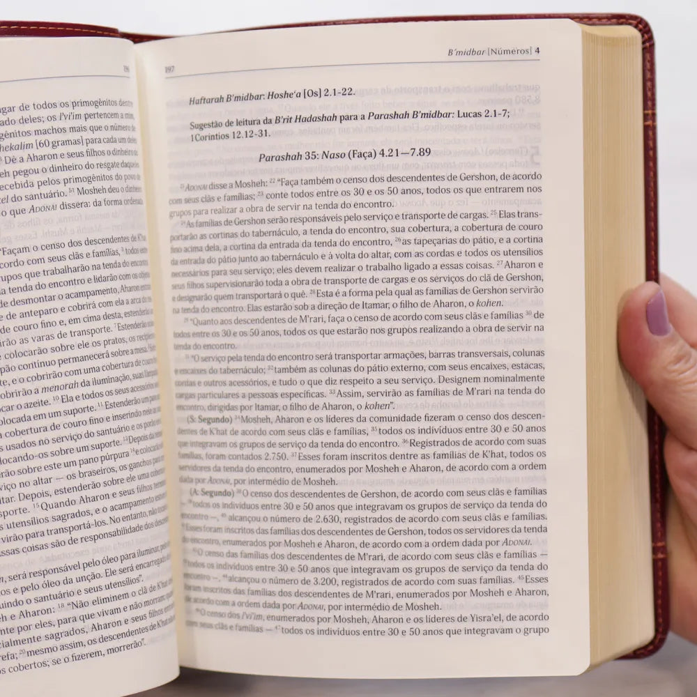 Bíblia Judaica Completa | Letra Normal | Capa Luxo Vinho