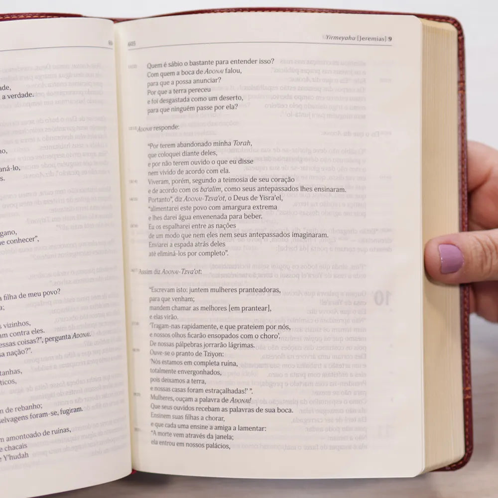 Bíblia Judaica Completa | Letra Normal | Capa Luxo Vinho