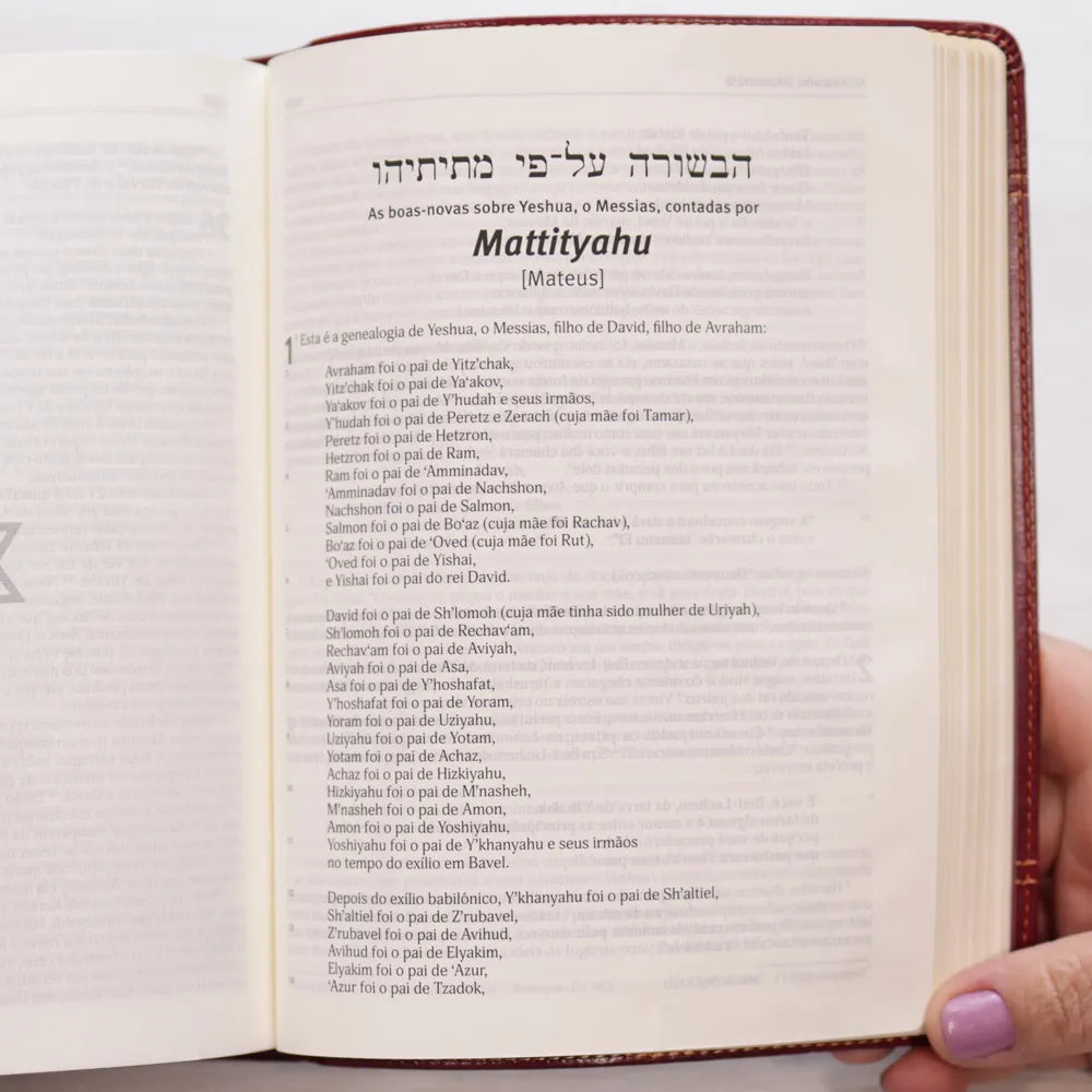 Bíblia Judaica Completa | Letra Normal | Capa Luxo Vinho