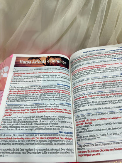BIBLIA GLITTER LEAO YESHUA ABAS COLADAS