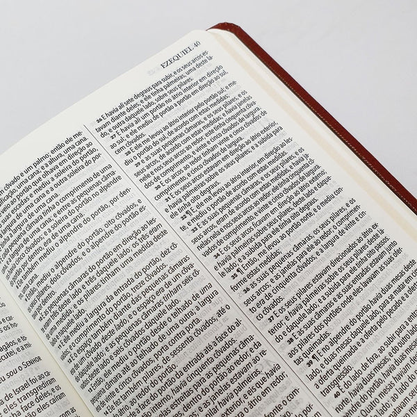 BIBLIA KING JAMES 1611 ULTRA FINA - CASTANHO