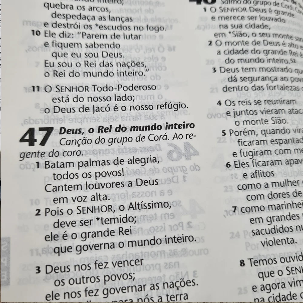 BÍBLIA SAGRADA AZALEIA | NTLH | LETRA GRANDE | CAPA DURA