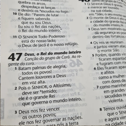 BÍBLIA SAGRADA AZALEIA | NTLH | LETRA GRANDE | CAPA DURA