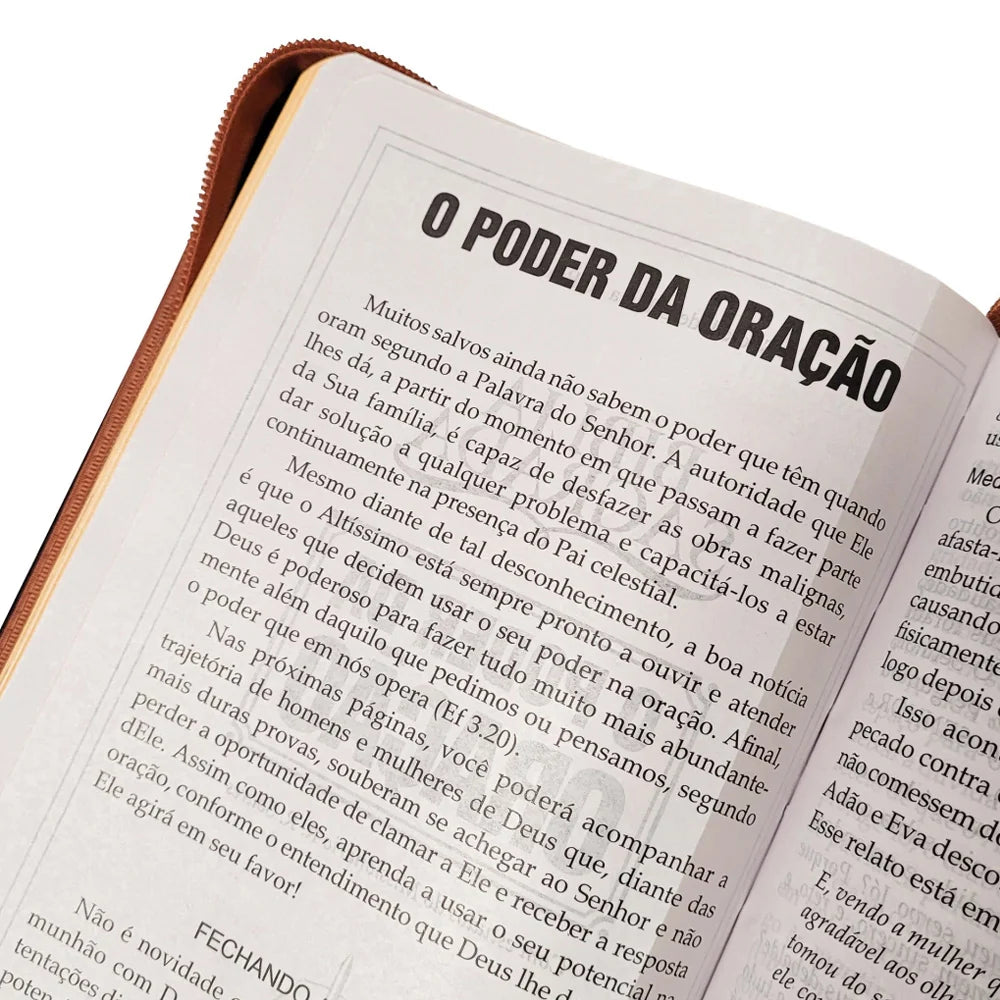 BÍBLIA SAGRADA | O PODER DA ORAÇÃO | ARC | LETRA GRANDE | CAPA SEMI LUXO CARAMELO C/ZIPER S/BORDA