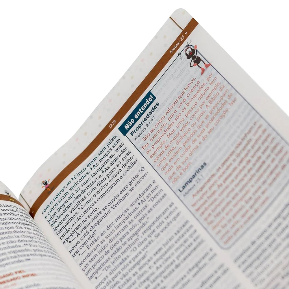 BIBLIA EXPLICADA PARA CRIANCAS SMILINGUIDO BAILARINA NTLH CAPA DURA