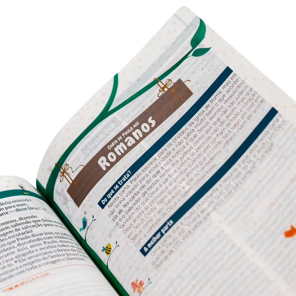 BIBLIA EXPLICADA PARA CRIANCAS SMILINGUIDO BAILARINA NTLH CAPA DURA