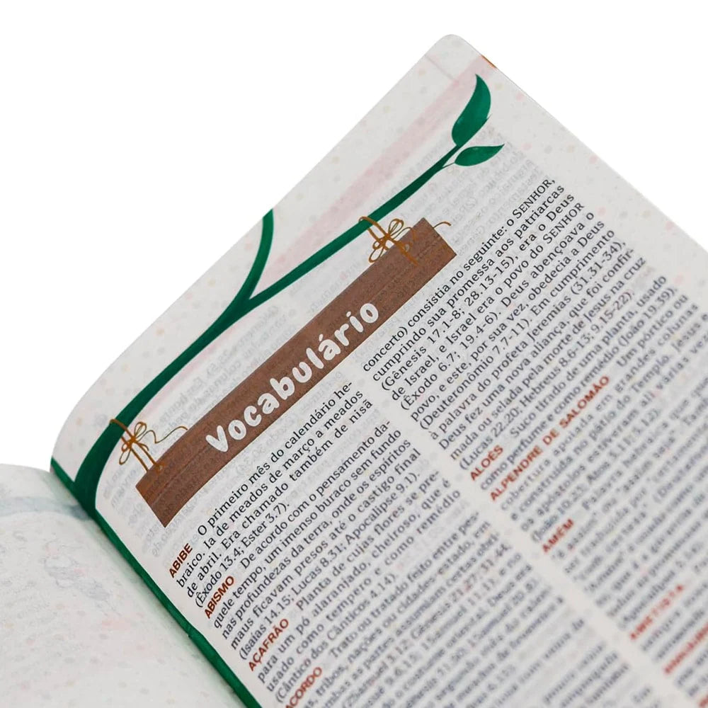 BIBLIA EXPLICADA PARA CRIANCAS SMILINGUIDO BAILARINA NTLH CAPA DURA