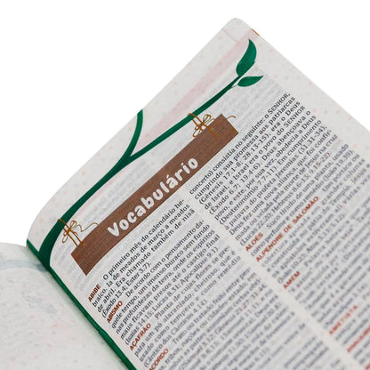 BIBLIA EXPLICADA PARA CRIANCAS SMILINGUIDO BAILARINA NTLH CAPA DURA