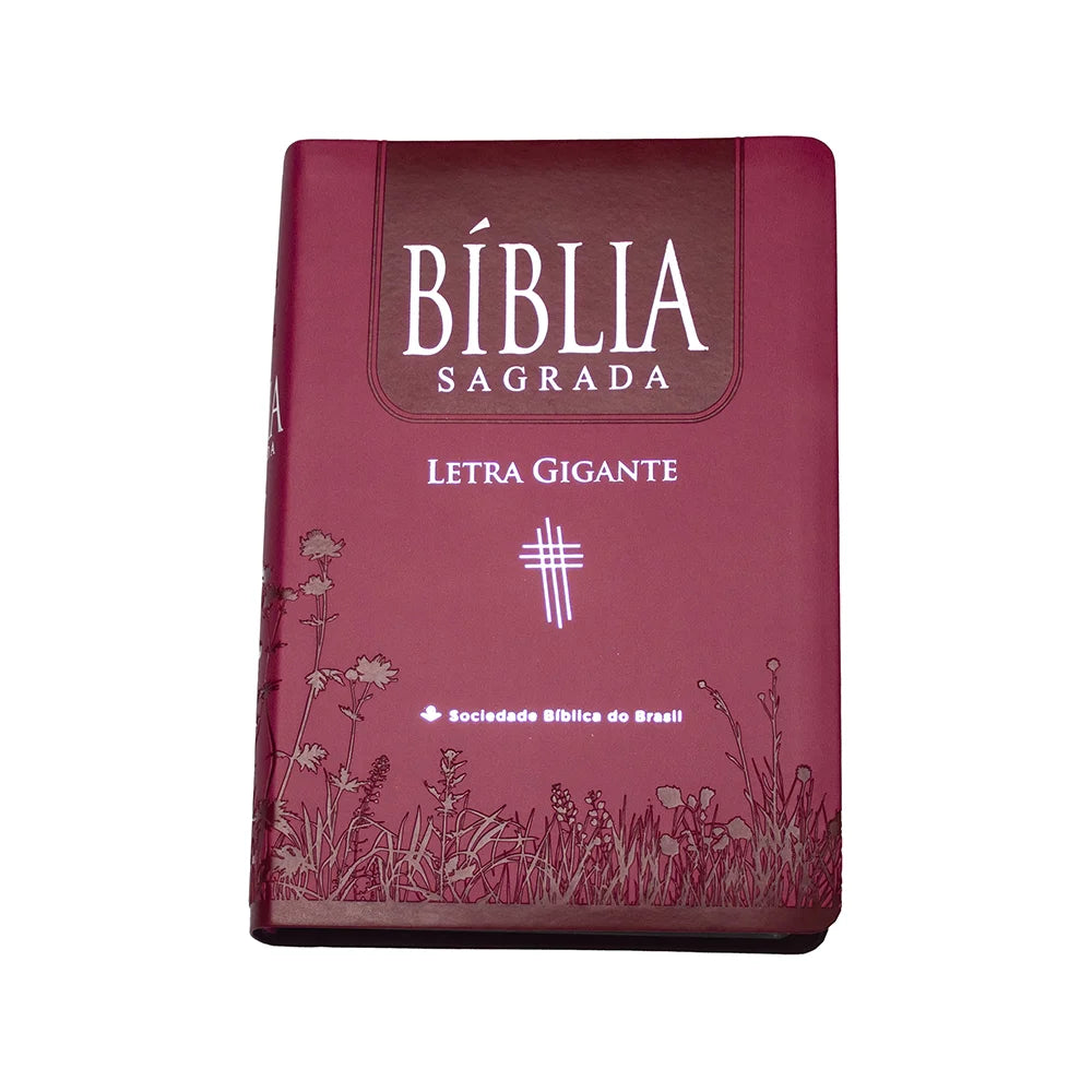 BÍBLIA SAGRADA NTLH | LETRA GIGANTE | CAPA DURA ROSA | ÍNDICE DIGITAL
