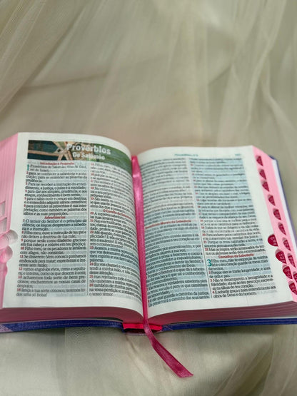 BIBLIA LEAO SORRIDENTE