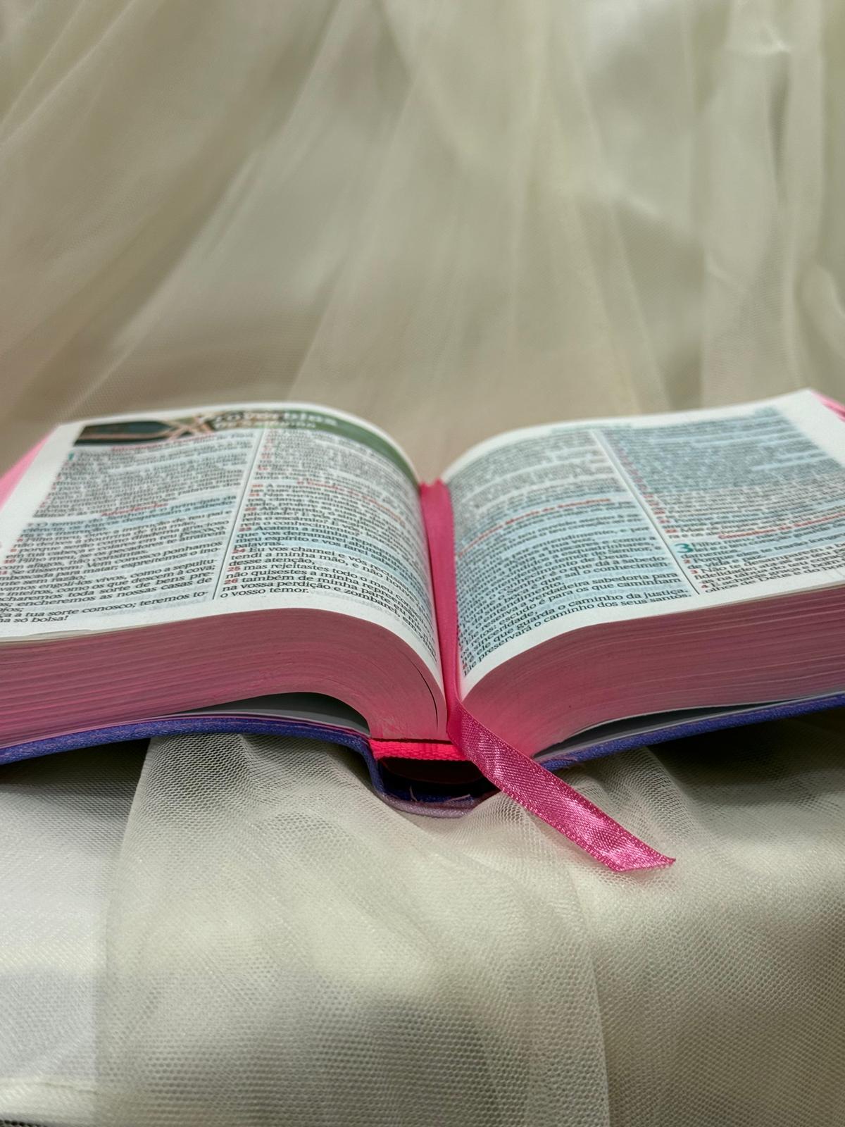 BIBLIA LEAO SORRIDENTE