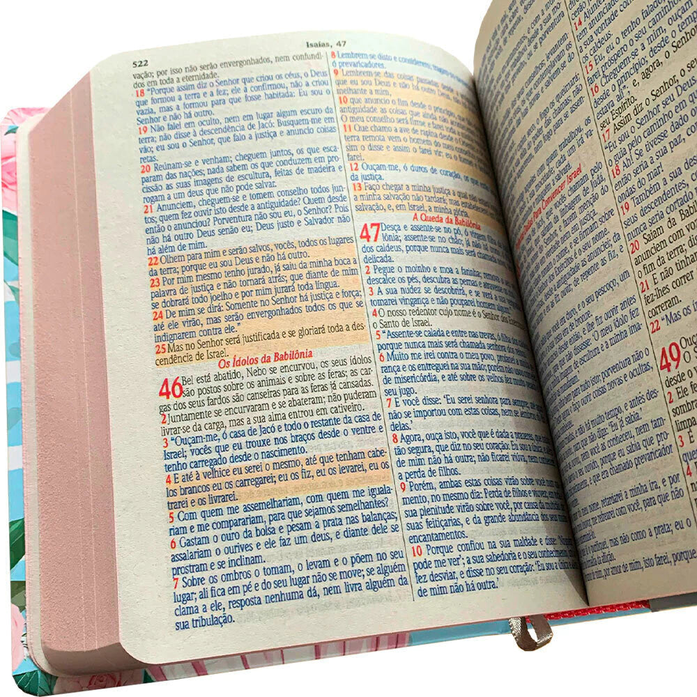 BIBLIA NVA MENINA AZUL