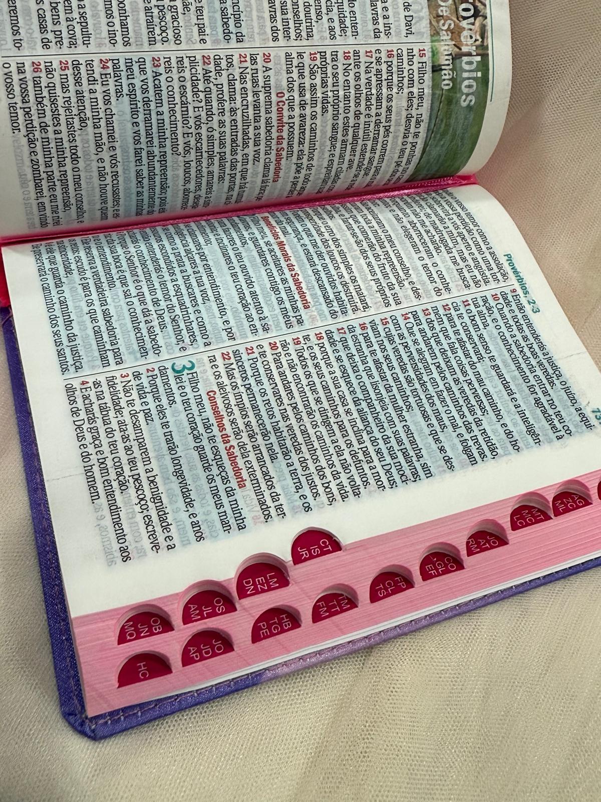 BIBLIA LEAO SORRIDENTE