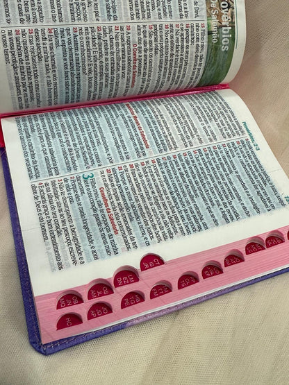 BIBLIA LEAO SORRIDENTE