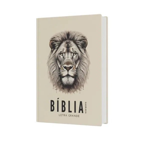 BÍBLIA SAGRADA NVI LETRA GRANDE — NOVA VERSÃO INTERNACIONAL