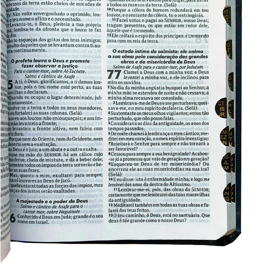 BIBLIA PEQUENA COM INDICE AZUL LUXO