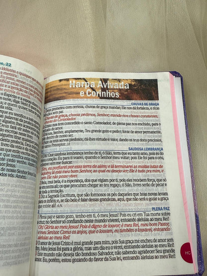 BIBLIA LEAO SORRIDENTE
