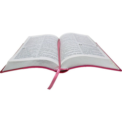 ARC Bible 065TILGILV Pink