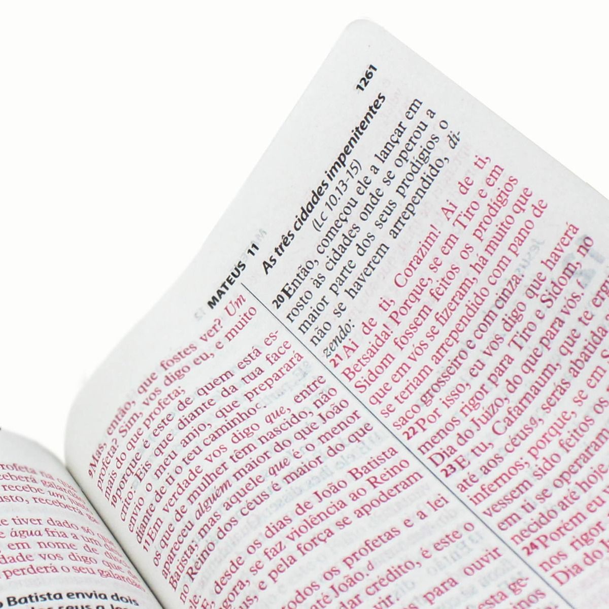 ARC Bible 065TILGILV Pink