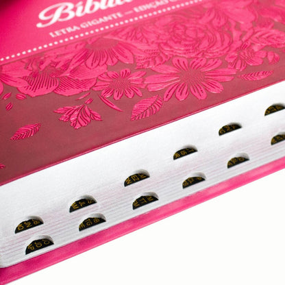 ARC Bible 065TILGILV Pink