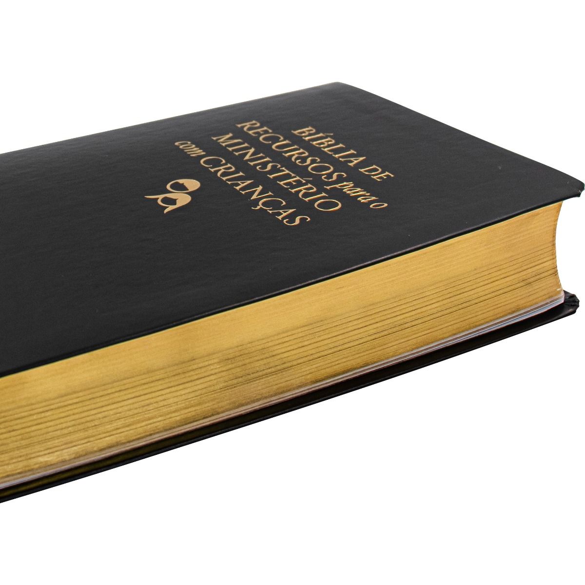 Resource Bible - Children's Ministry (RA085APEC)