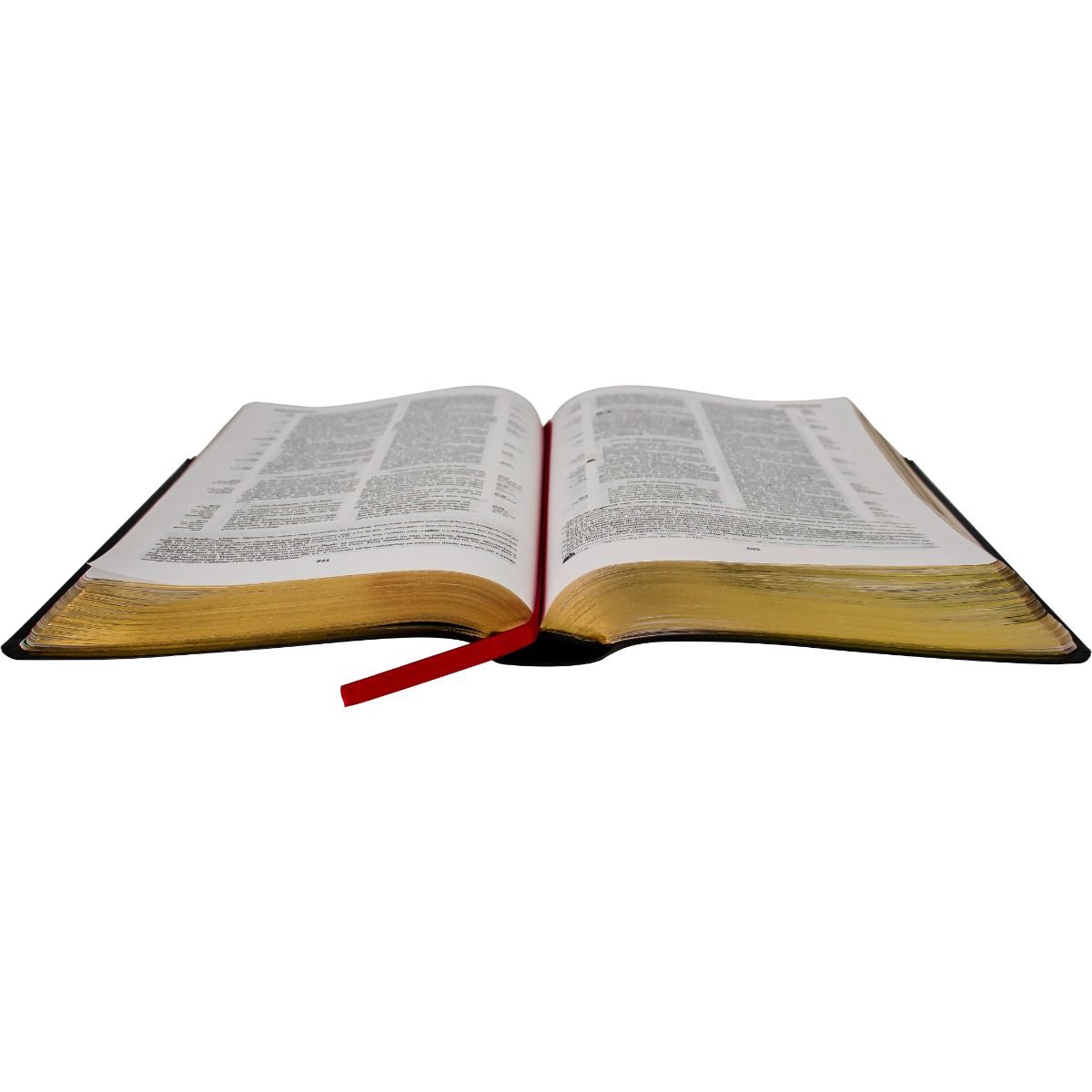 Pentecostal Study Bible Ed. Global - Wine