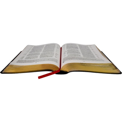 Pentecostal Study Bible Ed. Global - Wine