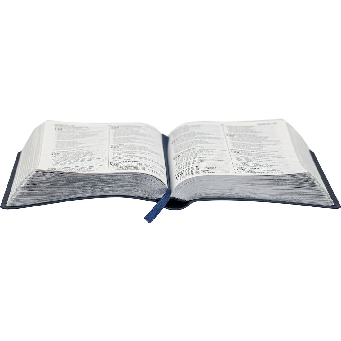 Portuguese (NAA) - English (ESV) Bilingual Bible - Dark Blue