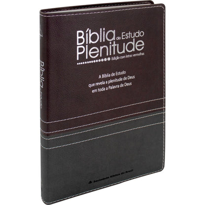 Plenitude Study Bible ARC085BPPJV - Burgundy and Gray