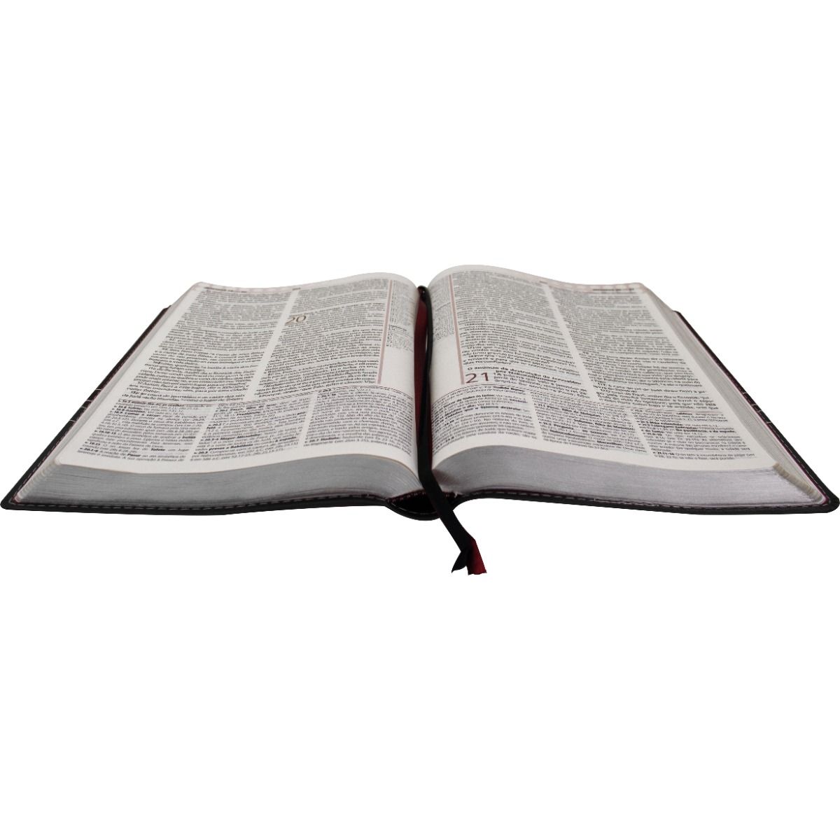 Plenitude Study Bible ARC085BPPJV - Burgundy and Gray