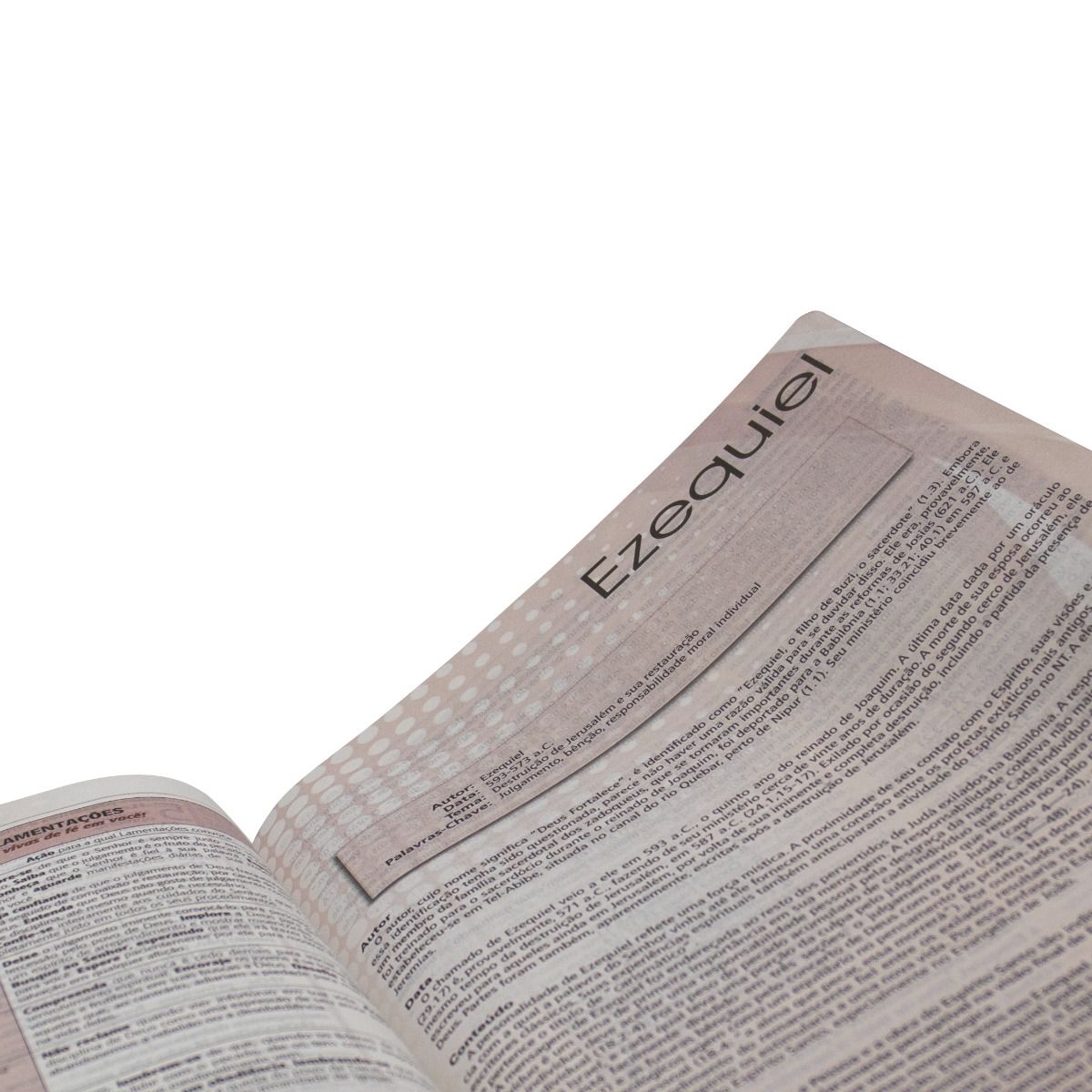 Plenitude Study Bible ARC085BPPJV - Burgundy and Gray