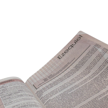 Plenitude Study Bible ARC085BPPJV - Burgundy and Gray