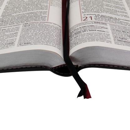 Plenitude Study Bible ARC085BPPJV - Burgundy and Gray