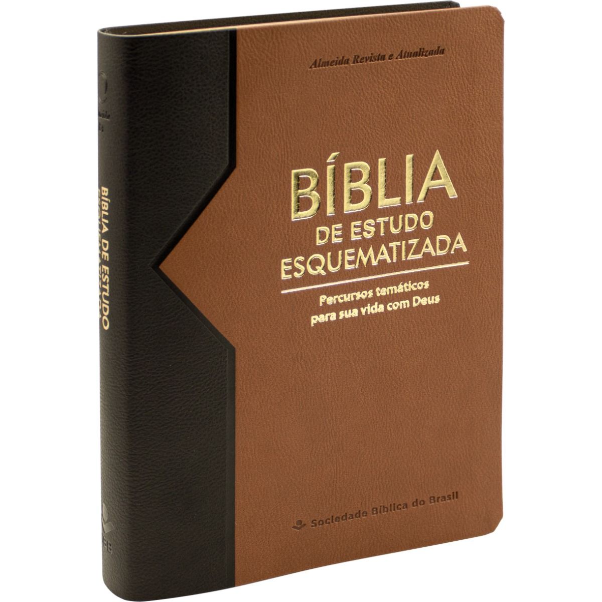 Bíblia de Estudo Esquematizada RA - Castanho