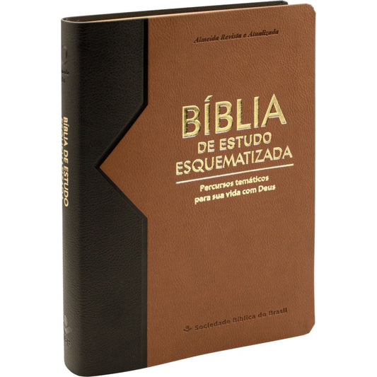 Bíblia de Estudo Esquematizada RA - Castanho